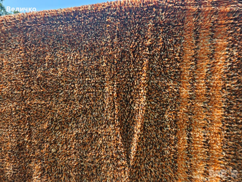 Цветен вълнен китеник, снимка 1