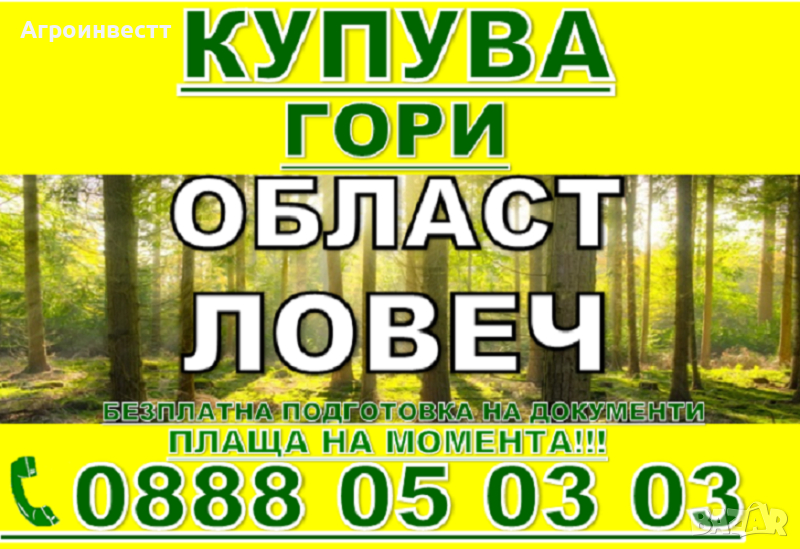 Купува Гори със земята или за сеч, снимка 1