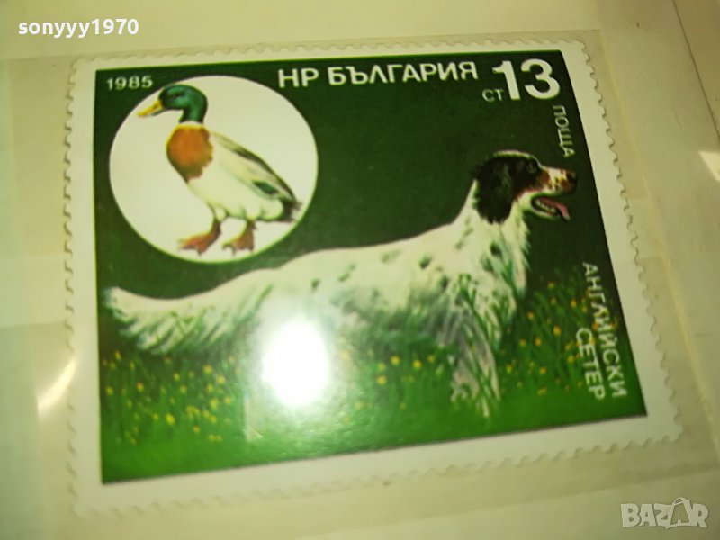 МАРКА 4 НРБ 1985 АНГЛИЙСКИ СЕТЕР 1203231608, снимка 1