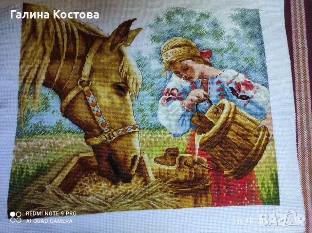  Гоблени, снимка 2 - Гоблени - 48061830