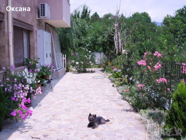 Нощувки в Сандански за 2-4 човек, снимка 7 - Квартири, нощувки - 39475903