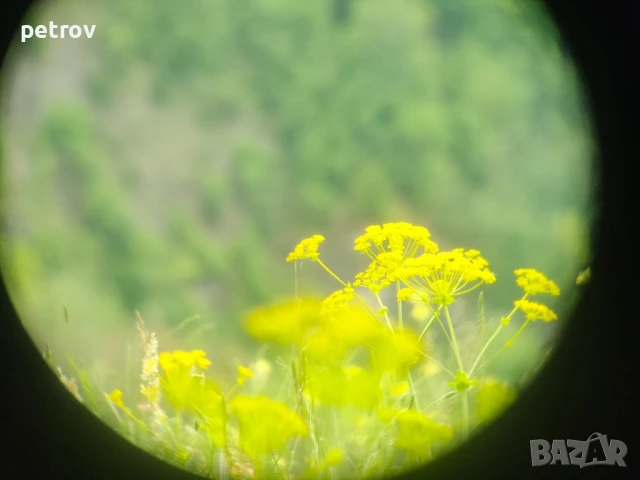 Бинокъл Carl Zeiss Jena 8х30 , снимка 13 - Екипировка - 49632270