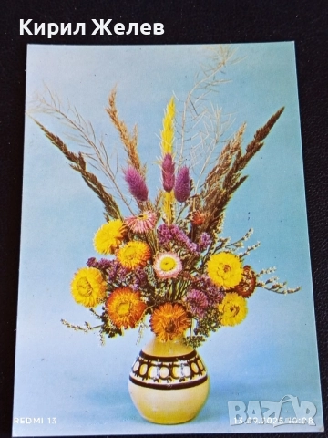 Четири пощенски картички тема ЦВЕТЯ редки от соца за КОЛЕКЦИЯ ДЕКОРАЦИЯ 50862, снимка 2 - Филателия - 51698231