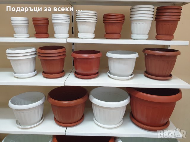 Саксии за растения: ТОП Цени - Онлайн — Bazar.bg
