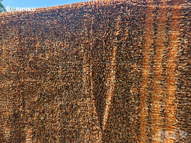 Цветен вълнен китеник