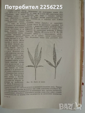 Растениевъдство ( том 3 ), снимка 9 - Специализирана литература - 51480700