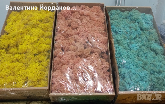 скандинавски мъх , снимка 3 - Декорация за дома - 53371738