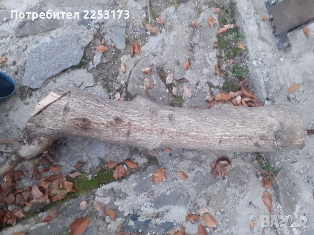 Орехово стебло 90..95 см, снимка 3 - Декорация за дома - 38428509