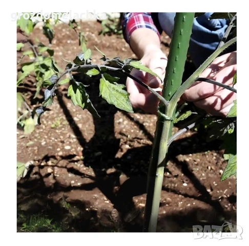 Метални колове за домати Ф20/210 см PVC покритие | Отстъпки | Вносител, снимка 4 - Градински инструменти - 53984843