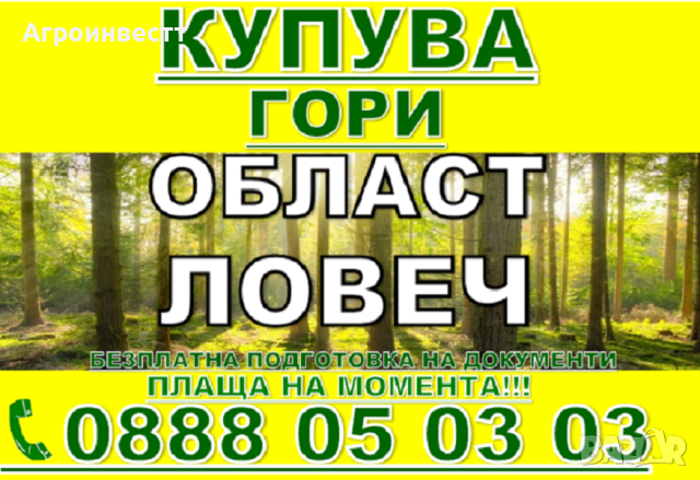 Купува Гори със земята или за сеч