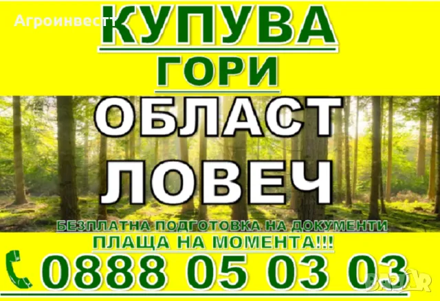 Купува Гори със земята или за сеч, снимка 4 - Други услуги - 44776854