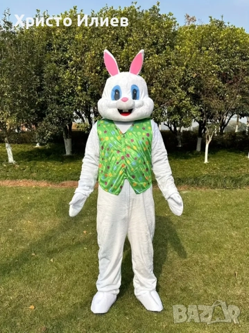 Парти плюшен костюм за рожден ден Заек Мечка Панда Куче Кенгуру, снимка 4 - Детегледачки, детски центрове - 51798101