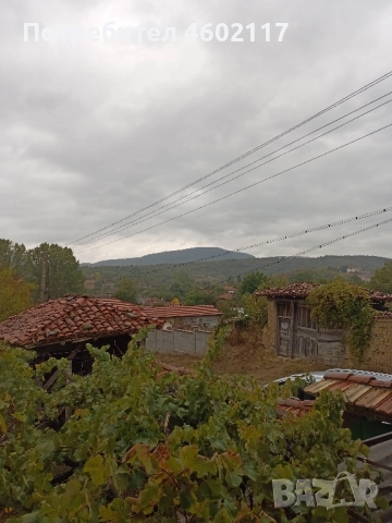 Продавам къща в с.Риш, снимка 4 - Къщи - 51800030