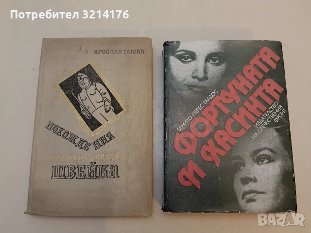 Фортуната и Хасинта. Две истории за омъжени жени - Бенито Перес Галдос (1984)