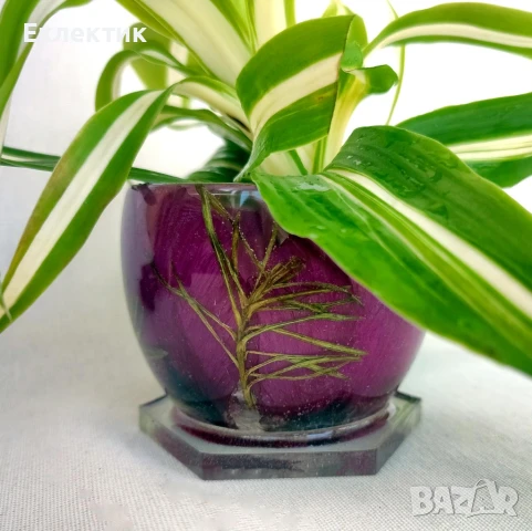 Декоративен буркан с капак. Хербарий в смола, снимка 7 - Други - 50759395