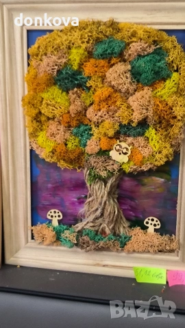 живи картини декорации от скандинавски мъх., снимка 13 - Картини - 53978658