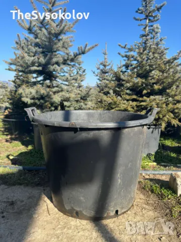 Контейнери за овошки - фиданки и др. Различни размери , снимка 2 - Саксии и кашпи - 49027702