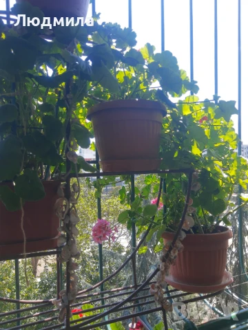 Цветарник,ковано желязо,олекотен,уникален,, снимка 6 - Декорация за дома - 51218359