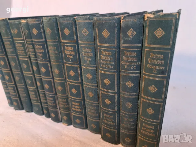 стари немски книги по зоология   10/1, снимка 2 - Антикварни и старинни предмети - 48902585