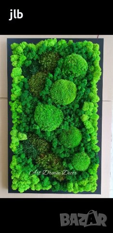 Живи картини и декорации от стабилизиран Скандинавски мъх, снимка 8 - Декорация за дома - 44164853