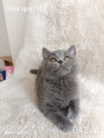 не е красива тя е уникална в Хасково