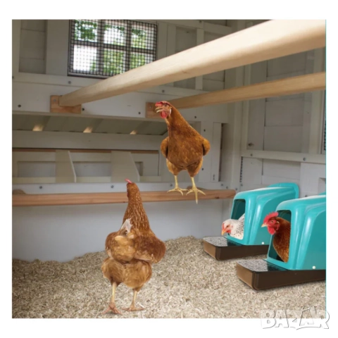 Гнезда за кокошки - комплект 5 броя / Наклонен полог за кокошки с колектор за яйца , снимка 3 - За птици - 52286342