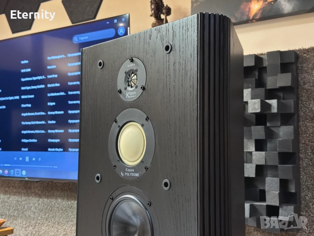 Infinity KAPPA 8.2 Series II / Тонколони, снимка 8 - Тонколони - 52869762
