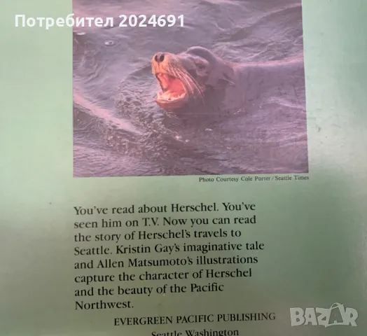 Herschel’s special dream by Kristin Gay, снимка 6 - Детски книжки - 47846984