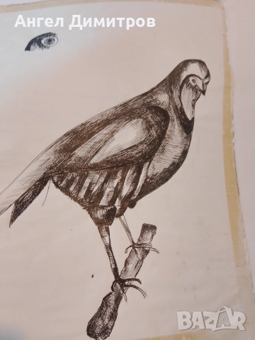 Картина суха игла , снимка 6 - Картини - 51891436