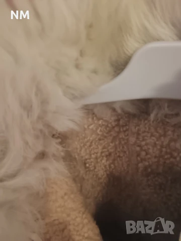 Детско зимно яке естествена кожа кожух, снимка 3 - Бебешки якета и елеци - 30176607