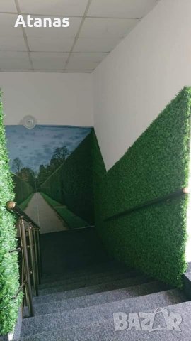 Декоративна мрежа - Трева - Жив плет, снимка 5 - Огради и мрежи - 39379867