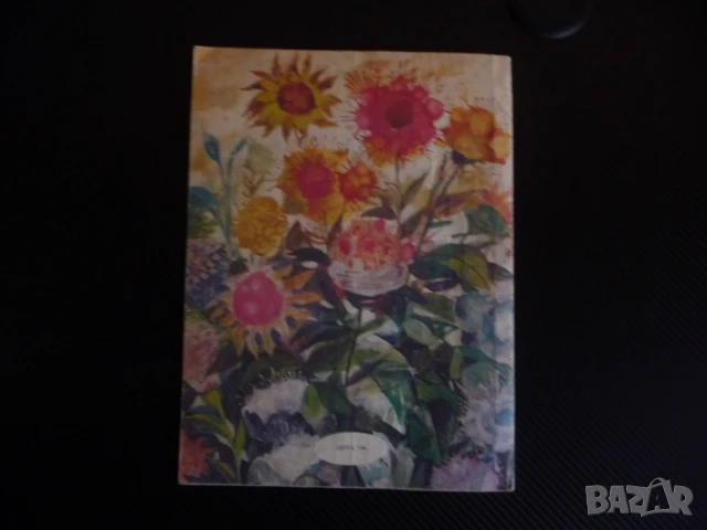 Скалата на вечността Финландска народна приказка русунки картини, снимка 4 - Детски книжки - 51133365