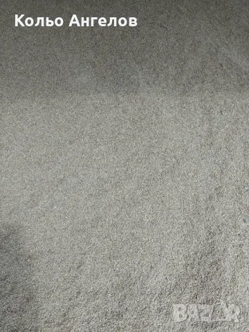 Пшеница, снимка 2 - За селскостопански - 48108504