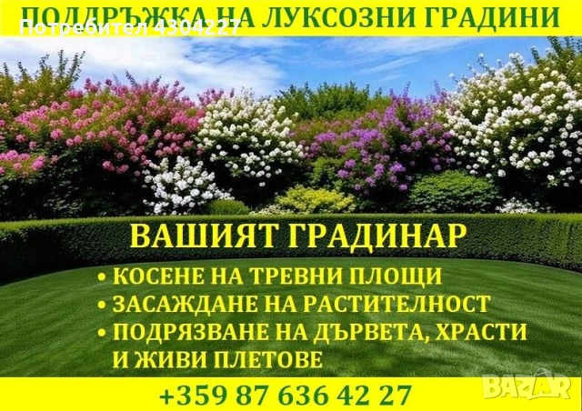 25 години опит – превръщам всеки двор в перфектна градина! Професионална поддръжка: косене, оформяне