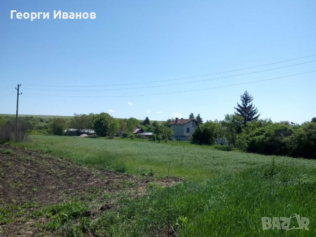 Нива с. Извор,  община Сливница , снимка 3 - Земеделска земя - 37127297