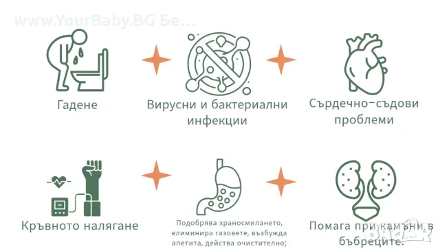 Oilo БИО Етерично Масло от Сладък Лимон - Sweet Lemon Oilo 5 мл., снимка 2 - Други - 49721758