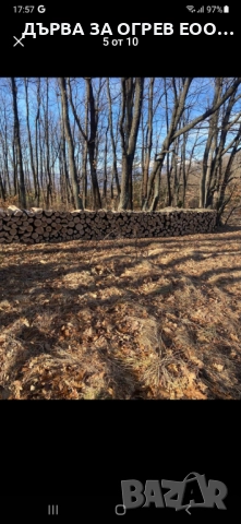 предлагам дърва за огрев метровки дъб , снимка 2 - Дърва за огрев - 52978250
