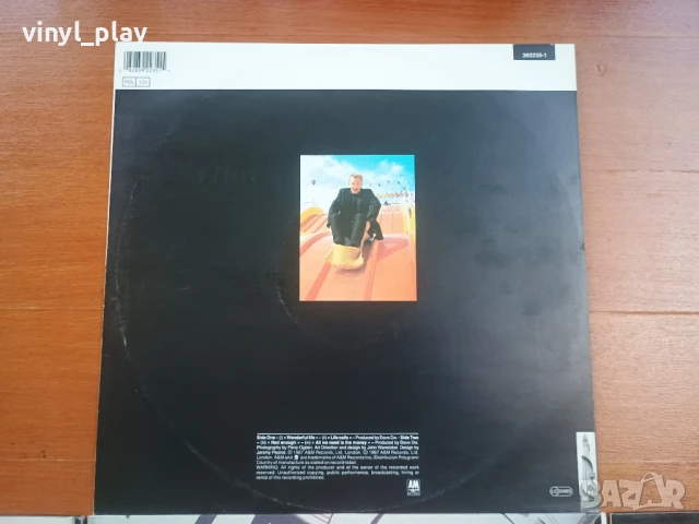 Italo Disco Maxi-Single (12 inch Vinyl), снимка 10 - Грамофонни плочи - 51036225