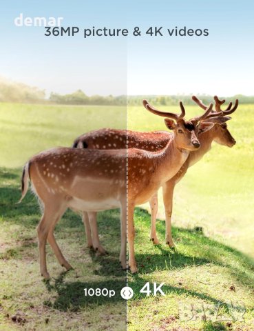 Камера за диви животни CEYOMUR, 4K 36MP HD с 40 IR светодиоди, IP66, снимка 2 - Камери - 42813068