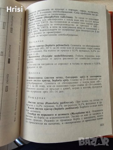 Календар за зеленчукопроизводителя Колектив, снимка 5 - Специализирана литература - 51418251