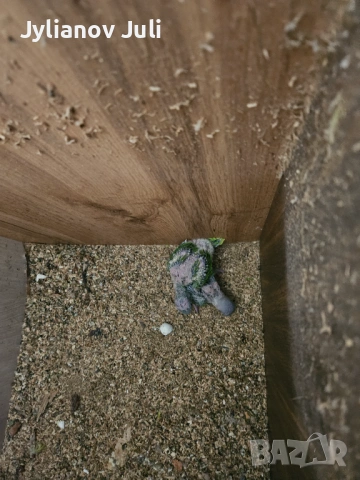 Бебета малки "Александър"