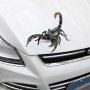 Малък Скорпион 3D стикер лепенка за автомобил кола самозалепващ, снимка 1 - Аксесоари и консумативи - 29547266