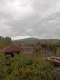 Продавам къща в с.Риш, снимка 4