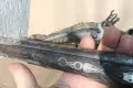 Чифт кремъчни пистолети ''Али Паша'' със сребърен обков и корали, снимка 16