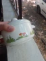 Стар малък детски супник - български порцелан, снимка 2
