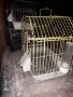 клетки за птици, снимка 1