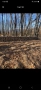 предлагам дърва за огрев метровки дъб , снимка 2