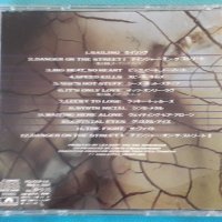 Various – 1989 - 海賊 = Kaizoku(Arena Rock,Hard Rock,Heavy Metal), снимка 7 - CD дискове - 42758228