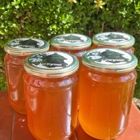 Пчелен мед, снимка 1 - Пчелни продукти - 35354944