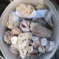 Камъни за декорация на Аквариума , снимка 3 - Аквариуми - 32027317